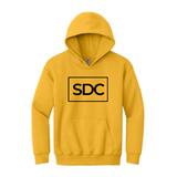 Spotlight Dance Youth Heavy Blend Hooded Sweatshirt