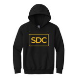 Spotlight Dance Youth Heavy Blend Hooded Sweatshirt